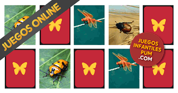 Juegos de memoria gratis para niños. Memorama infantil online: Insectos